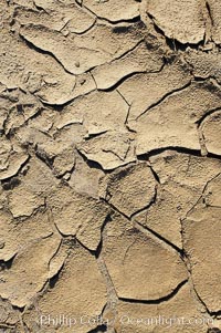 Dried mud, scorched earth, cracks from long-dried rain puddles, Anza-Borrego Desert State Park, Borrego Springs, California