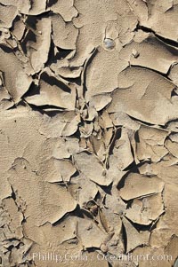 Dried mud, scorched earth, cracks from long-dried rain puddles, Anza-Borrego Desert State Park, Borrego Springs, California