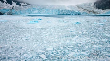 Drygalski Fjord, packed with brash ice which has broken away from the glacier at the end of the narrow fjord