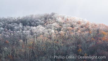 Early Snow and Late Blue Ridge Parkway Fall Colors, Asheville, North Carolina. USA, natural history stock photograph, photo id 34637