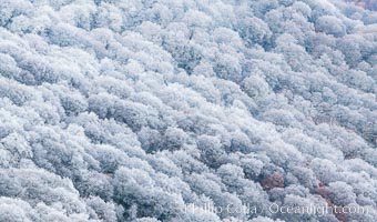 Early Snow and Late Blue Ridge Parkway Fall Colors, Asheville, North Carolina