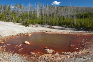 Echinus Geyser just prior to eruption, notice that its pool is full to overflowing, Norris Geyser Basin, Yellowstone National Park, Wyoming