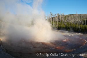 Echinus Geyser erupts at sunset.  Echinus Geyser reaches heights of 40 to 60 feet.  Echinus Geyser was quite predictable until 1998 when something changed in its plumbing, and it now is irregular and erupts less often, Norris Geyser Basin, Yellowstone National Park, Wyoming