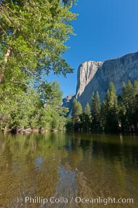 El Capitan reflected in the Merced River, Yosemite National Park, California