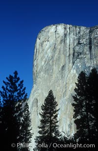 El Capitan viewed from Cathedral Beach along Merced River, Yosemite Valley. Yosemite National Park, California, USA, natural history stock photograph, photo id 07026