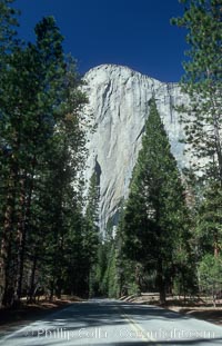 El Capitan and forest road, Yosemite Valley, Yosemite National Park, California