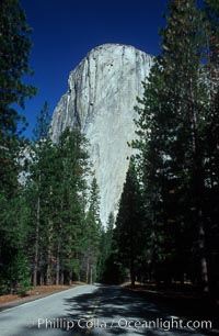 El Capitan and shaded road, Yosemite Valley, Yosemite National Park, California