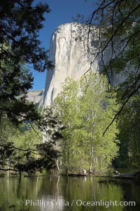 El Capitan rises above the Merced River, Yosemite Valley, Yosemite National Park, California