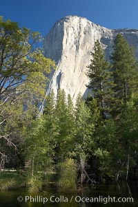 El Capitan rises above the Merced River, Yosemite Valley. Yosemite National Park, California, USA, natural history stock photograph, photo id 16105