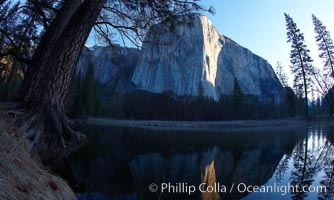 El Capitan, rises above the Merced River at sunrise, Yosemite National Park, California