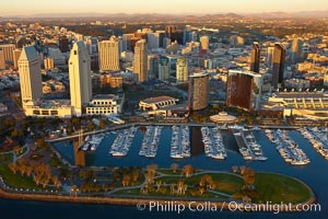 Embarcadero Marina Park, with the Grand Hyatt (left) and Marriott (right) hotels rising above the yacht basin. San Diego, California, USA, natural history stock photograph, photo id 22367