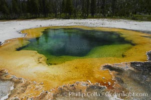 Emerald Pools vibrant colors are caused by themophilic (heat-loving) cyanobacteria and algae.  As the temperature of the pool decreases towards its edges, the colors tend to oranges and yellow.  Black Sand Basin, Yellowstone National Park, Wyoming