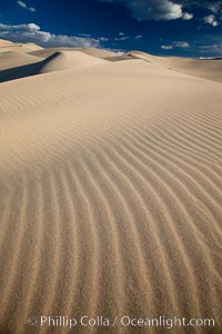 Eureka Dunes.  The Eureka Valley Sand Dunes are California's tallest sand dunes, and one of the tallest in the United States.  Rising 680' above the floor of the Eureka Valley, the Eureka sand dunes are home to several endangered species, as well as "singing sand" that makes strange sounds when it shifts.  Located in the remote northern portion of Death Valley National Park, the Eureka Dunes see very few visitors