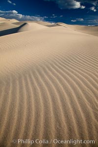 Eureka Dunes.  The Eureka Valley Sand Dunes are California's tallest sand dunes, and one of the tallest in the United States.  Rising 680' above the floor of the Eureka Valley, the Eureka sand dunes are home to several endangered species, as well as 