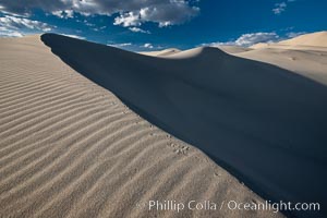 Eureka Dunes.  The Eureka Valley Sand Dunes are California's tallest sand dunes, and one of the tallest in the United States.  Rising 680' above the floor of the Eureka Valley, the Eureka sand dunes are home to several endangered species, as well as "singing sand" that makes strange sounds when it shifts.  Located in the remote northern portion of Death Valley National Park, the Eureka Dunes see very few visitors