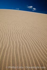 Eureka Dunes.  The Eureka Valley Sand Dunes are California's tallest sand dunes, and one of the tallest in the United States.  Rising 680' above the floor of the Eureka Valley, the Eureka sand dunes are home to several endangered species, as well as "singing sand" that makes strange sounds when it shifts.  Located in the remote northern portion of Death Valley National Park, the Eureka Dunes see very few visitors
