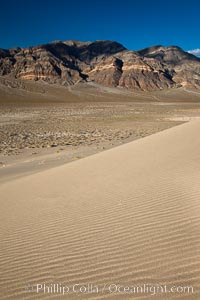 Eureka Dunes.  The Eureka Valley Sand Dunes are California's tallest sand dunes, and one of the tallest in the United States.  Rising 680' above the floor of the Eureka Valley, the Eureka sand dunes are home to several endangered species, as well as "singing sand" that makes strange sounds when it shifts.  Located in the remote northern portion of Death Valley National Park, the Eureka Dunes see very few visitors