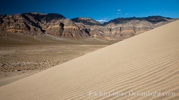 Eureka Dunes.  The Eureka Valley Sand Dunes are California's tallest sand dunes, and one of the tallest in the United States.  Rising 680' above the floor of the Eureka Valley, the Eureka sand dunes are home to several endangered species, as well as "singing sand" that makes strange sounds when it shifts.  Located in the remote northern portion of Death Valley National Park, the Eureka Dunes see very few visitors