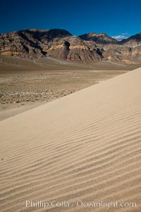 Eureka Dunes.  The Eureka Valley Sand Dunes are California's tallest sand dunes, and one of the tallest in the United States.  Rising 680' above the floor of the Eureka Valley, the Eureka sand dunes are home to several endangered species, as well as "singing sand" that makes strange sounds when it shifts.  Located in the remote northern portion of Death Valley National Park, the Eureka Dunes see very few visitors