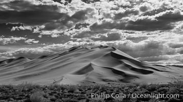 Eureka Dunes.  The Eureka Dunes are California's tallest sand dunes, and one of the tallest in the United States.  Rising 680' above the floor of the Eureka Valley, the Eureka sand dunes are home to several endangered species, as well as "singing sand" that makes strange sounds when it shifts, Death Valley National Park