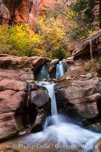 Fall Colors in Kanarra Creek Canyon, Utah. Kanarraville, USA, natural history stock photograph, photo id 32639