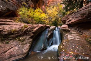 Fall Colors in Kanarra Creek Canyon, Utah, Kanarraville