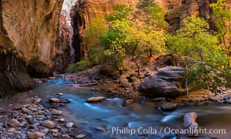 Fall Colors in the Virgin River Narrows, Zion National Park, Utah