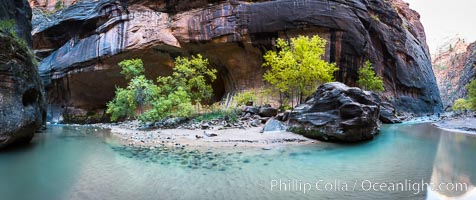 Fall Colors in the Virgin River Narrows, Zion National Park, Utah