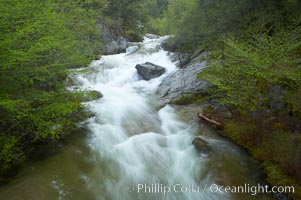 The Falls at Bass Lake in the western Sierra