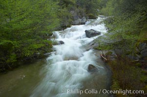 The Falls at Bass Lake in the western Sierra
