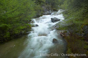 The Falls at Bass Lake in the western Sierra