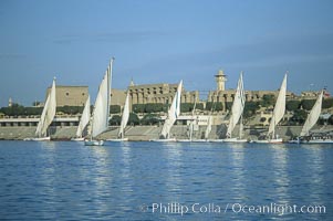 Feluccas, traditional Egyptian sailboats, sail the Nile River with Karnak Temple in the background, Luxor