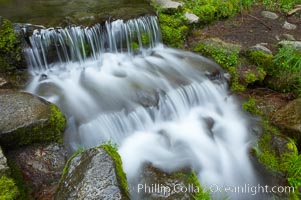 Fern Springs, a small natural spring in Yosemite Valley near the Pohono Bridge, trickles quietly over rocks as it flows into the Merced River, Yosemite National Park, California