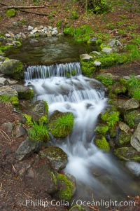 Fern Springs, a small natural spring in Yosemite Valley near the Pohono Bridge, trickles quietly over rocks as it flows into the Merced River, Yosemite National Park, California