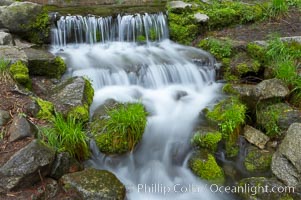 Fern Springs, a small natural spring in Yosemite Valley near the Pohono Bridge, trickles quietly over rocks as it flows into the Merced River, Yosemite National Park, California