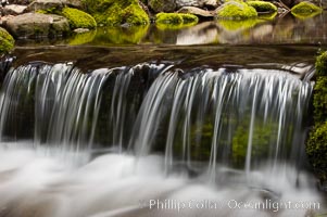 Fern Springs, a small natural spring in Yosemite Valley near the Pohono Bridge, trickles quietly over rocks as it flows into the Merced River. Yosemite Valley, Yosemite National Park, California