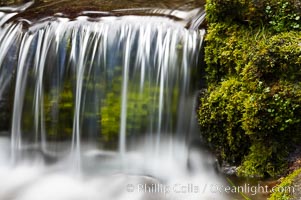 Fern Springs, a small natural spring in Yosemite Valley near the Pohono Bridge, trickles quietly over rocks as it flows into the Merced River. Yosemite Valley, Yosemite National Park, California