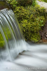 Fern Springs, a small natural spring in Yosemite Valley near the Pohono Bridge, trickles quietly over rocks as it flows into the Merced River. Yosemite Valley, Yosemite National Park, California