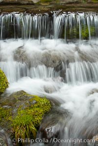 Fern Springs, a small natural spring in Yosemite Valley near the Pohono Bridge, trickles quietly over rocks as it flows into the Merced River. Yosemite Valley, Yosemite National Park, California