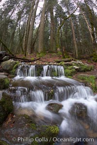 Fern Springs, a small natural spring in Yosemite Valley near the Pohono Bridge, trickles quietly over rocks as it flows into the Merced River, Yosemite National Park, California