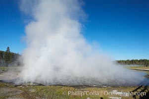 Firehole Lake creates a wall of steam in the early morning, Lower Geyser Basin, Yellowstone National Park, Wyoming