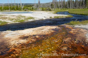 Iron Spring Creek flows in front of Green Spring, Black Sand Basin, Yellowstone National Park, Wyoming