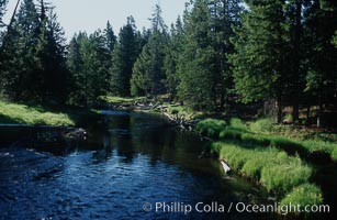 The Firehole River flows through the Upper Geyser Basin. All geysers and hot springs in the area eventually feed into this river, Yellowstone National Park, Wyoming