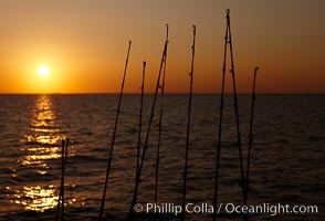Fishing rods, sunrise, Santa Barbara Island