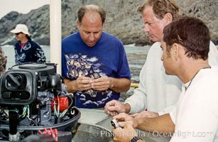 Fixing the outboard on our zodiac, Guadalupe Island, Mexico, Guadalupe Island (Isla Guadalupe)