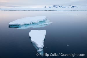 Floating ice and glassy water, sunset, Paulet Island