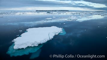 Floating ice and glassy water, Paulet Island