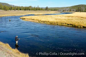 Fly fisherman wading in the Madison River, fall, autumn.