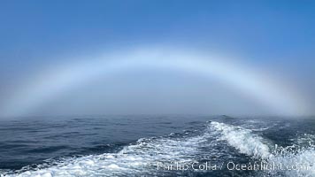 A fog bow, sometimes called a white rainbow, is a similar phenomenon to a rainbow; however, as its name suggests, it appears as a bow in fog rather than rain, Coronado Islands (Islas Coronado)
