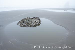 Foggy morning, Ruby Beach, Olympic National Park, Washington